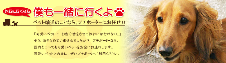 ペット輸送のことなら、プチポーターにお任せ！